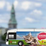 Gesucht: Welche Katze oder welcher Katzer soll Saarlands ersten E-Bus zieren? Foto: Agentur MEC/Jozsitoeroe