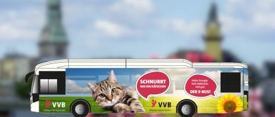 Gesucht: Welche Katze oder welcher Katzer soll Saarlands ersten E-Bus zieren? Foto: Agentur MEC/Jozsitoeroe