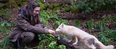 Polarfuchs, Puma und Co.: Wie sich Tierschützer nahe der Saar-Grenze gegen private Wildtier-Haltung engagieren