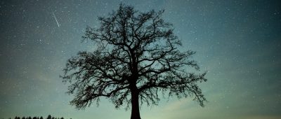 Sternschnuppen-Highlight des Jahres: Geminiden auch im Saarland zu sehen