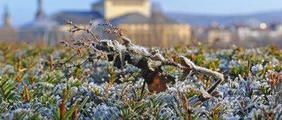 Winterwetter im Saarland: Viel Sonne, aber auch Glätte und Frost