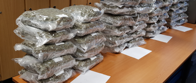 Über 70 Kilo Marihuana sichergestellt - Drogendealer gehen Polizei in Homburg ins Netz