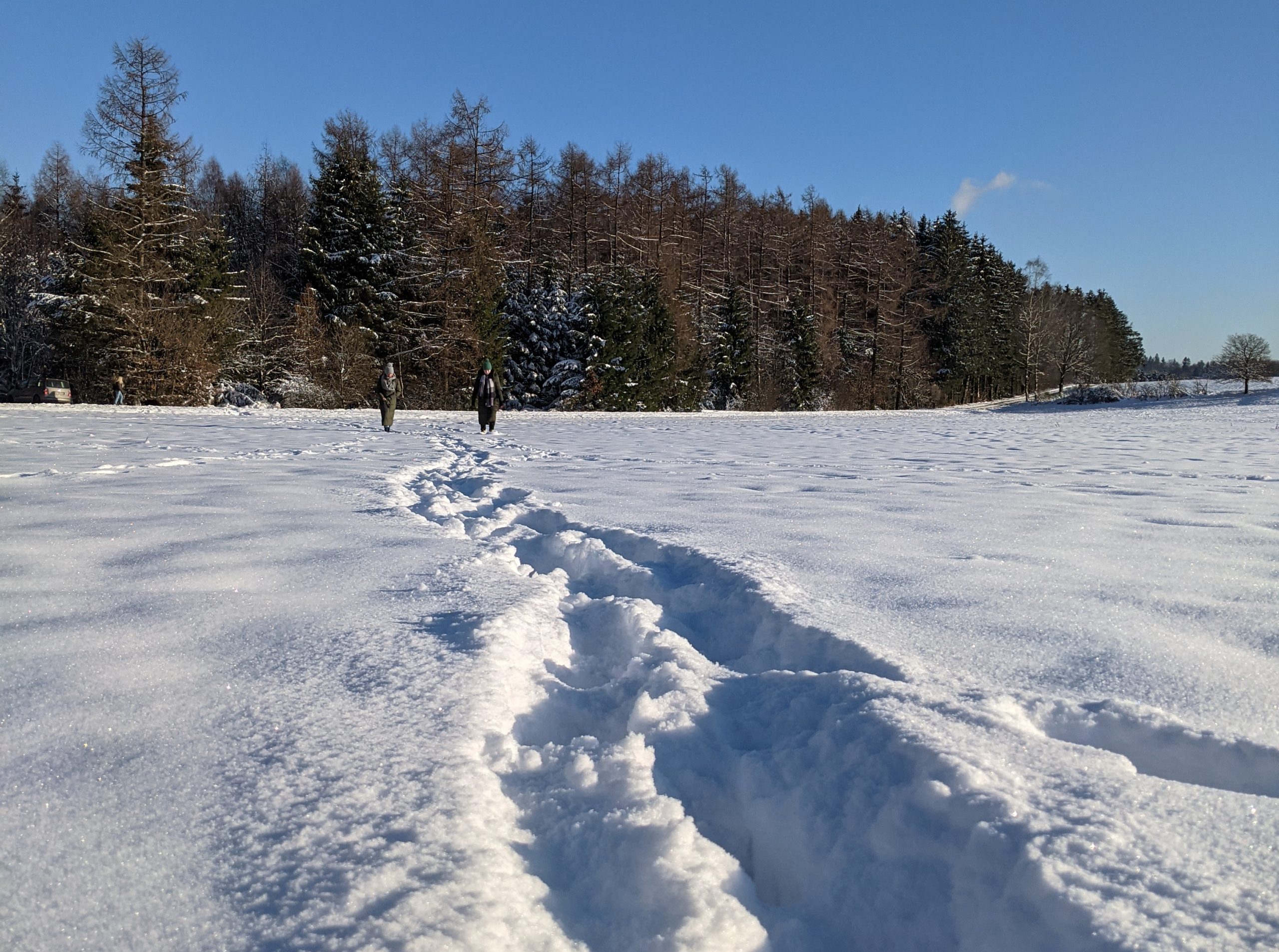 Winterwanderung im Naturpark Hunsrück-Hochwald bei Nonnweiler/Saarland. Foto: Saarbrücker Kompass