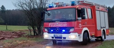 Feuerwehr rettet verirrte Person aus Wald in Bliesen