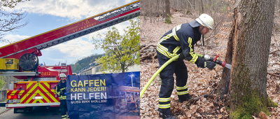 Amtsgericht-Evakuierung, Brand in Wald, Rettung: Mehrere Einsätze für Feuerwehr St. Ingbert