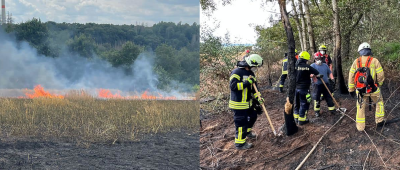 Flächenbrand nahe Homburg: Über 110 Kräfte stundenlang im Einsatz