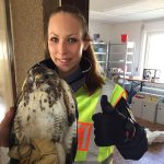 Eine Beamtin der Polizeiinspektion Saarlouis mit dem geretteten Vogel. Foto: Polizei