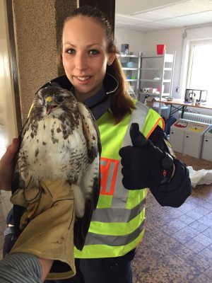 Eine Beamtin der Polizeiinspektion Saarlouis mit dem geretteten Vogel. Foto: Polizei
