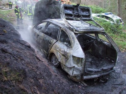 Das Auto brannte in dem Waldstück bis auf die Karosserie vollständig ab. Foto: Polizeiinspektion Merzig