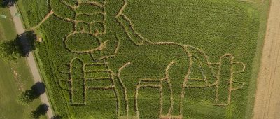 Der Esel ist ein Labyrinth und rund ein Hektar groß. Foto: Tourismus- und Kulturzentrale des Landkreises Neunkirchen.
