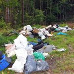 Ähnlich wie hier im Waldgebiet Eichenkopf in Großrosseln wurde jetzt auch in Kleinblittersdorf illegal Müll abgelagert. Foto: BeckerBredel
