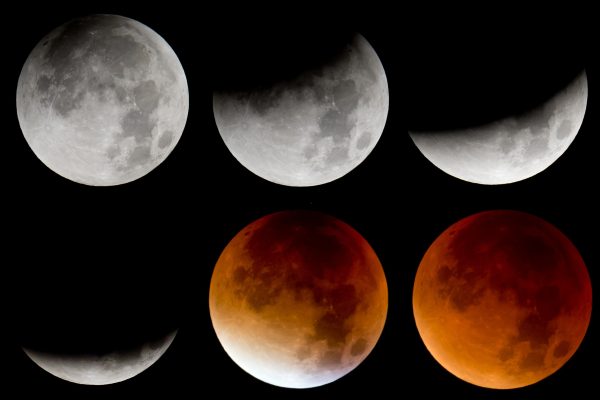 Die verschiedenen Phasen der Mondfinsternis. Foto: Sven Hoppe/dpa-Bildfunk.