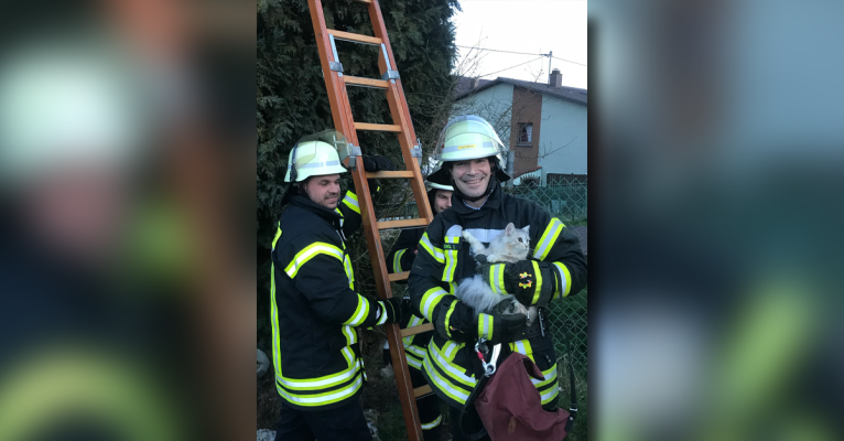 Erfolgreiche Rettungsaktion in Alsweiler. Foto: Dirk Schäfer / Feuerwehr
