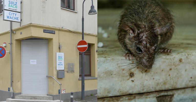 Wegen Rattenbefall geschlossen: Die City-Wache in Sulzbach. Symbolfoto: (links) BeckerBredel / (rechts) Pixabay