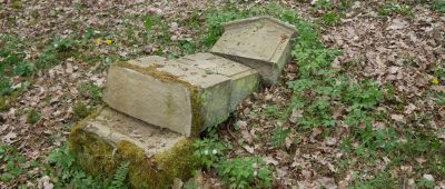 In Gonnesweiler haben Unbekannte den jüdischen Friedhof geschändet. Foto: Rupert Schreiber/Landesdenkmalamt.