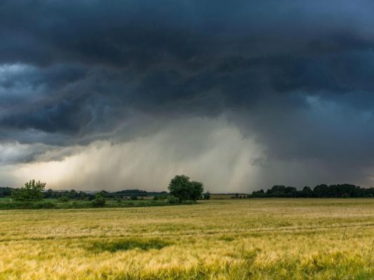 Ein Unwetter formiert sich über einem Feld. Foto: Bernd März/Archiv