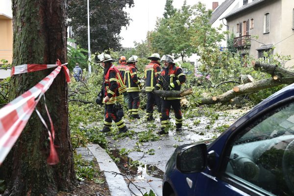 Durch das starke Unwetter fiel in Saarbrücken in der Bismarckstraße ein Kastanienbaum um. Foto:Becker&Bredel