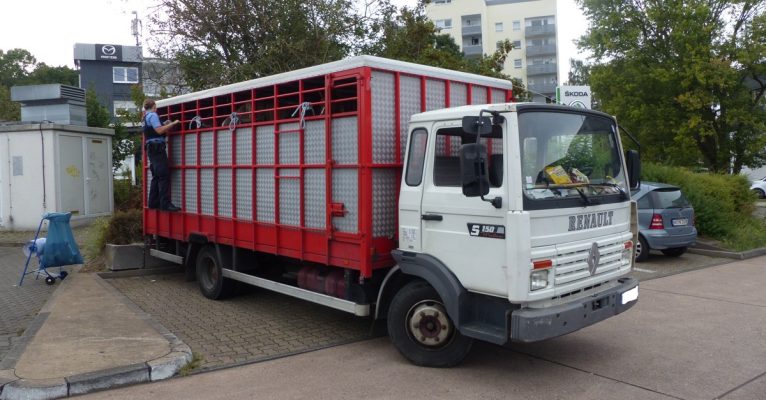 Das Fahrzeug, das in Saarlouis gestoppt wurde, war laut Polizei nicht für den Transport von Pferden geeignet. Foto: Polizei.