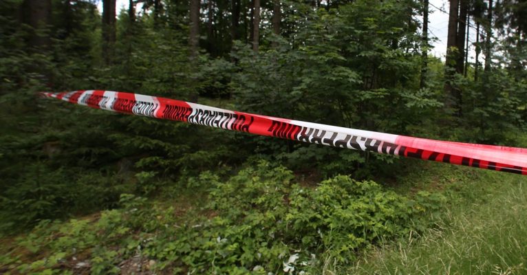 In einem Waldgebiet bei Altlay sind zwei Leichen gefunden worden. Symbolfoto: Daniel Karmann/dpa-Bildfunk.