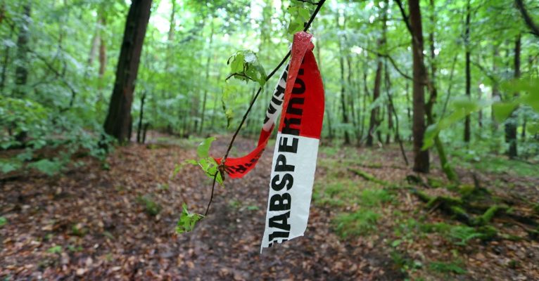 In einem Waldstück bei Altlay in Rheinland-Pfalz sind zwei Leichen gefunden worden. Symbolfoto: Karl-Josef Hildenbrand/dpa-Bildfunk.
