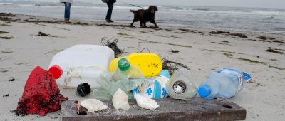 Das Plastik-Verbot soll die Weltmeere vor der Verschmutzung durch Kunststoff schützen. Symbolfoto: Stefan Sauer/dpa-Bildfunk