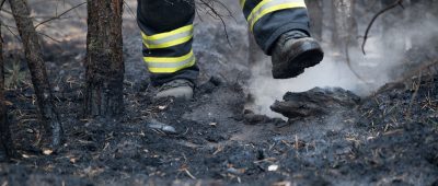 Die Feuerwehr musste am Samstag (17. November 2018) zu einem Heckenbrand nach Kirkel-Altstadt ausrücken: Symbolfoto: Ralf Hirschberger/dpa-Bildfunk