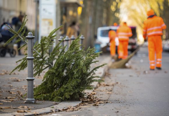 Im Saarland könnt ihr euren Weihnachtsbaum auch im Jahr 2021 kostenlos entsorgen. Hierfür haben die meisten Städte und Gemeinden Sammelstellen und Abholdienste eingerichtet. Foto: Andreas Arnold/dpa-Bildfunk