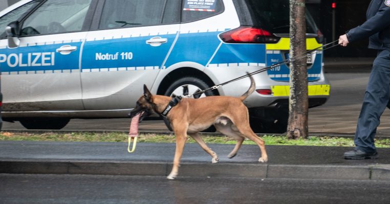 Spürhunde untersuchten das Landgericht in Saarbrücken nach einer Bombendrohung. Symbolfoto: Frank Rumpenhorst/dpa-Bildfunk.