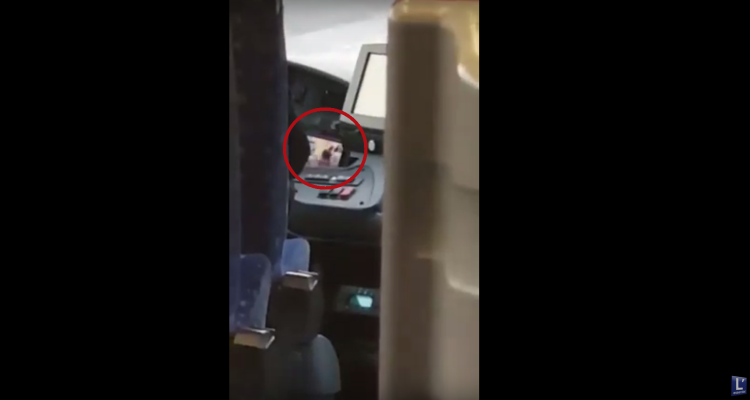 Hier zu sehen: Der Busfahrer hinterm Steuer des Fahrzeugs - während das Video auf dem Smartphone abgespielt wird. Screenshot: Youtube/L'essentiel.