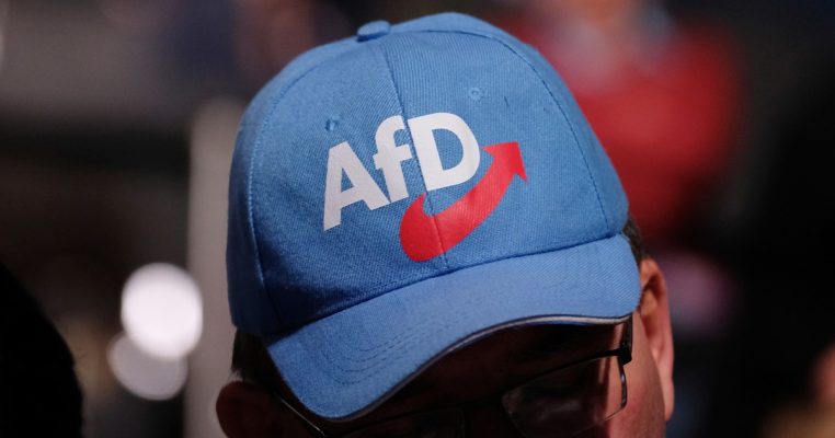 Das Bundesamt für Verfassungsschutz hat die AfD als „Prüffall" eingestuft. Symbolfoto: dpa-Bildfunk.