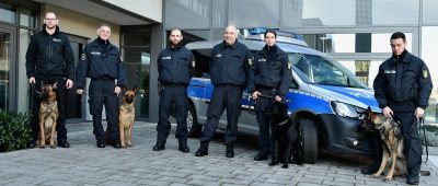 Drei Polizeihunde haben ihre Ausbildung im Saarland erfolgreich abgeschlossen. Foto: BeckerBredel