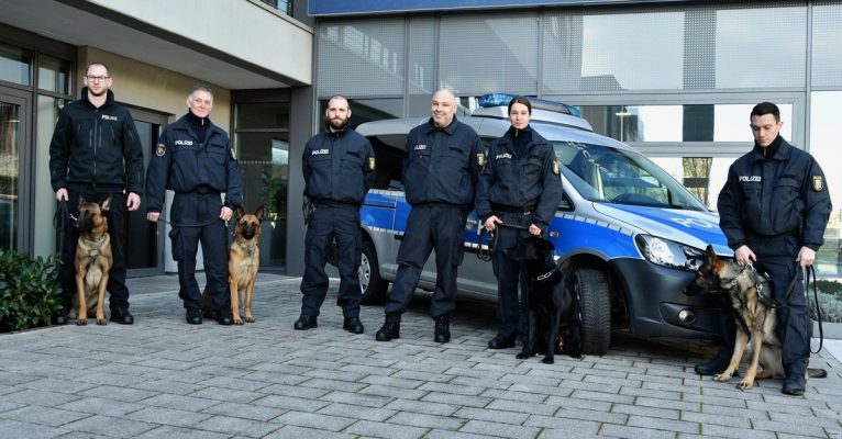 Drei Polizeihunde haben ihre Ausbildung im Saarland erfolgreich abgeschlossen. Foto: BeckerBredel