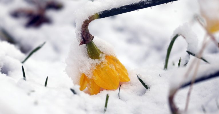 Nach dem Sturm könnte es in der nächsten Woche im Saarland nochmal schneien. Foto: Andrew Milligan/dpa-Bildfunk