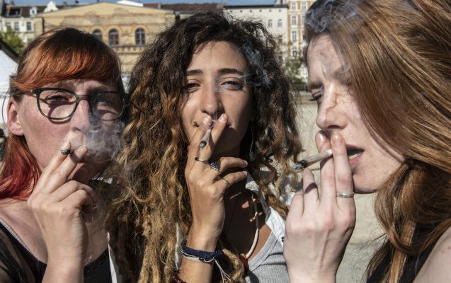 Luxemburg will Cannabis legalisieren. Symbolfoto: Paul Zinken/dpa-Bildfunk