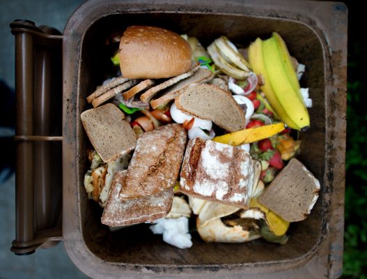 11 Millionen Tonnen an Lebensmitteln landen in Deutschland jährlich im Müll. „Containern“ bleibt dennoch verboten. Foto: Arno Burgi/dpa-Bildfunk