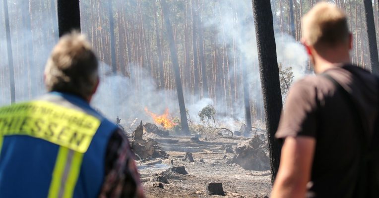 Wälder und Wiesen sind in diesen Tagen besonders von Bränden gefährdert. Symbolfoto: Jan Woitas/dpa-Bildfunk.