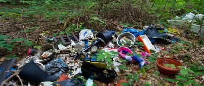 Unbekannte Umweltsünder haben ihren Müll illegal im Wald bei Riegelsberg abgelagert. Symbolfoto: Patrick Pleul/dpa-Bildfunk