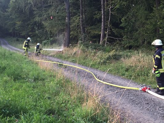 Die Feuerwehr Oberwürzbach konnte durch ihren schnellen Einsatz einen Waldbrand verhindern. Foto: Marco Schmeltzer/Feuerwehr Oberwürzbach