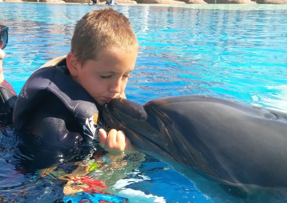 Der Blieskasteler Schutzengelverein hat den 13-jährigen Jamie bei seiner Delfin-Therapie unterstützt. Fotorechte: Klaus Port
