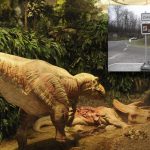 Der Gondwana-Park in Schiffweiler zeigt die Evolutionsgeschichte. Dazu gehört auch eine Ausstellung von Dinosauriern. Fotos: BeckerBredel.