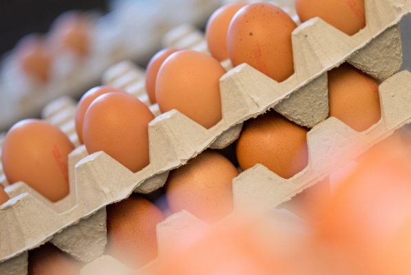 Aktuell besteht Salmonellen-Gefahr bei bestimmten Eiern im Saarland. Symbolfoto: Friso Gentsch/dpa-Bildfunk