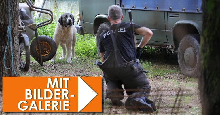 Schon im September vergangenen Jahres musste die Polizei Tiere aus dem Privat-Zoo in Nunkirchen befreien. Archivfoto: BeckerBredel