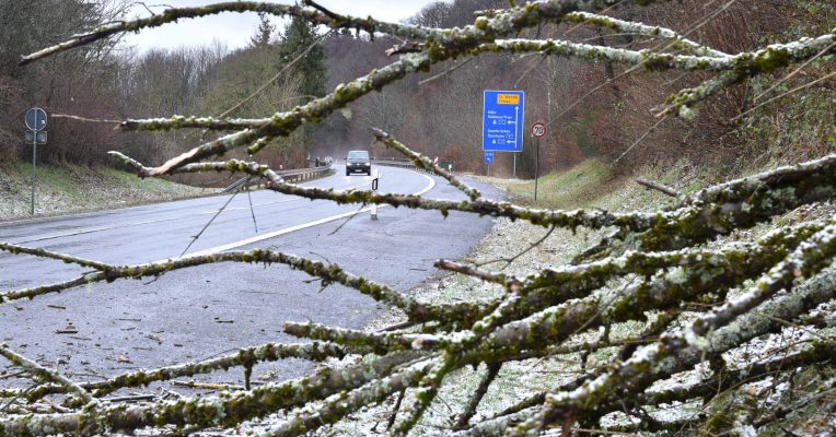 Vor Sturmböen in weiten Teilen des Saarlandes warnt der Deutsche Wetterdienst. Wie hier bei Nonnweiler-Primstal vergangene Woche können Bäume umstürzen. Archivfoto: BeckerBredel