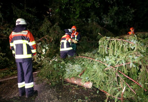 Aufgrund des Unwetters sind im Saarland zahlreiche Bäume umgestürzt, sodass es zu zahlreichen Straßensperrungen kommt. Symbolfoto: Sven Grundmann/dpa-Bildfunk