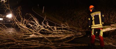 Im Saarland sind wegen umgestürzter Bäume noch immer einige Straßen gesperrt. Archivfoto: BeckerBredel