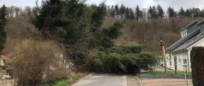 Wie hier in St. Ingbert stürzten im Saarland etliche Bäume in Folge des Sturms um. Foto: Florian Jung/Feuerwehr St. Ingbert