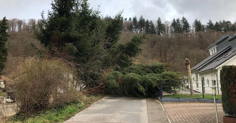 Wie hier in St. Ingbert stürzten im Saarland etliche Bäume in Folge des Sturms um. Foto: Florian Jung/Feuerwehr St. Ingbert