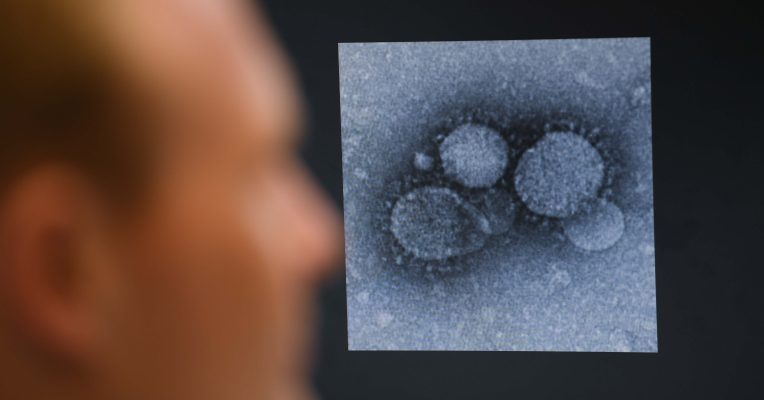 Das Coronavirus wurde jetzt bei einem Luxemburger nachgewiesen. Symbolfoto: Arne Dedert/dpa-Bildfunk