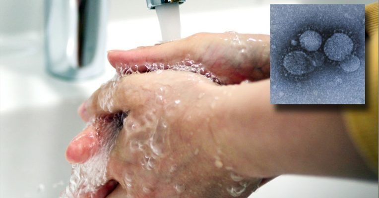 Die KKH ruft derzeit zu sorgfältigster Handhygiene auf. Symbolfotos: (Hintergrund) dpa-Bildfunk/Ole Spata | (Virus) dpa-Bildfunk/Arne Dedert