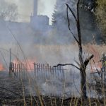 Die Feuerwehr musste den Flächenbrand in Homburg bekämpfen. Foto: BeckerBredel